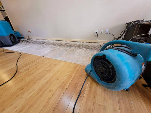 Professional Water Damage Repair technician working in DeKalb, IL
